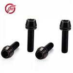 ברגי טיטניום שחור